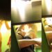caught Public sex in Germany pool cabin  with couple