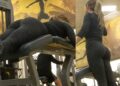 Voyeur Gym Girl Fit Exercising Ass Creepshot Candid